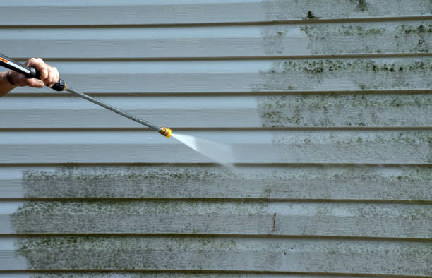 Best Sidewalk and Walkway Cleaning  in Lynchburg, TN